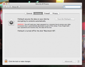 Encrypt your laptop