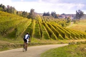 mtb luxury travel
