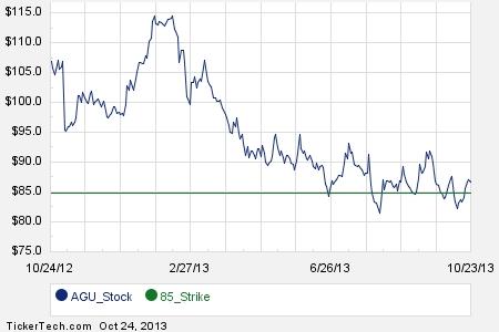 24 stock options
